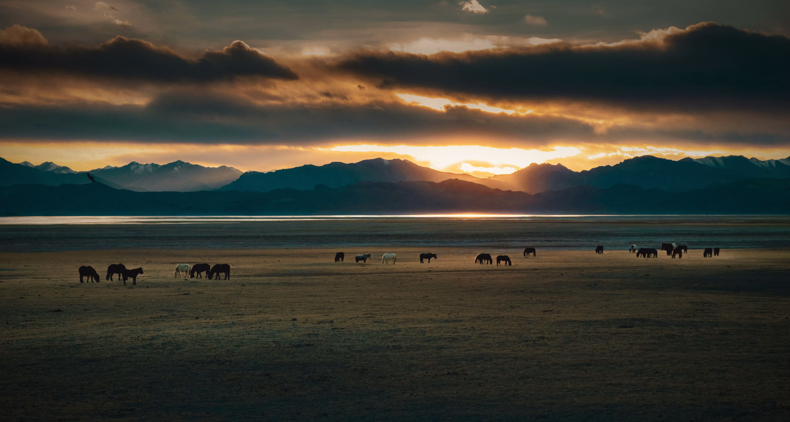 project-thumbnail-new-4